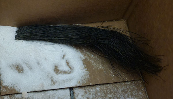 Beard drying in a borax /salt mixture.