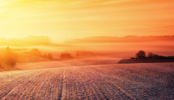 Snow on field with sunrise