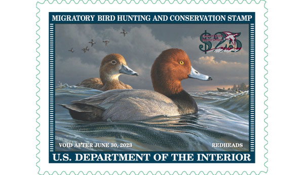 2022 Duck Stamp