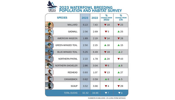 2023 Waterfowl Survey