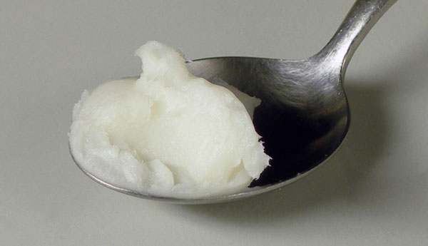 White lard on a spoon