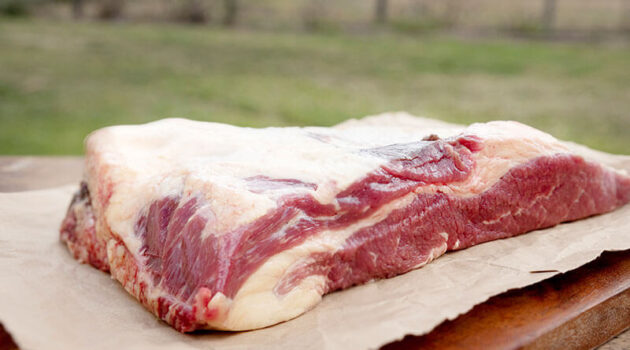 Beef brisket fat ready for rendering tallow at home