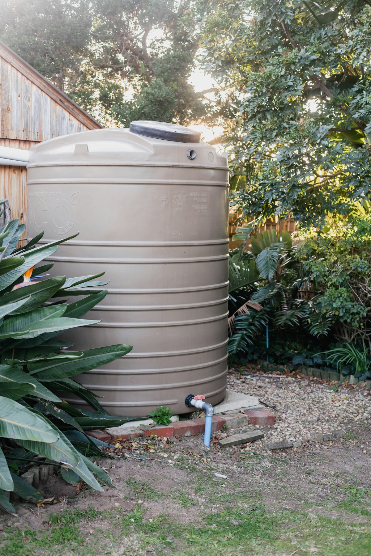 Rainwater barrel and downspout diverter on a homestead for drought-proof garden water storage