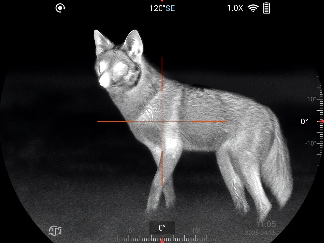 mission_fon_ui_2 - Current Homesteading Night-vision image of a fox standing in profile, viewed through a rifle scope with orange crosshairs centered on its body.