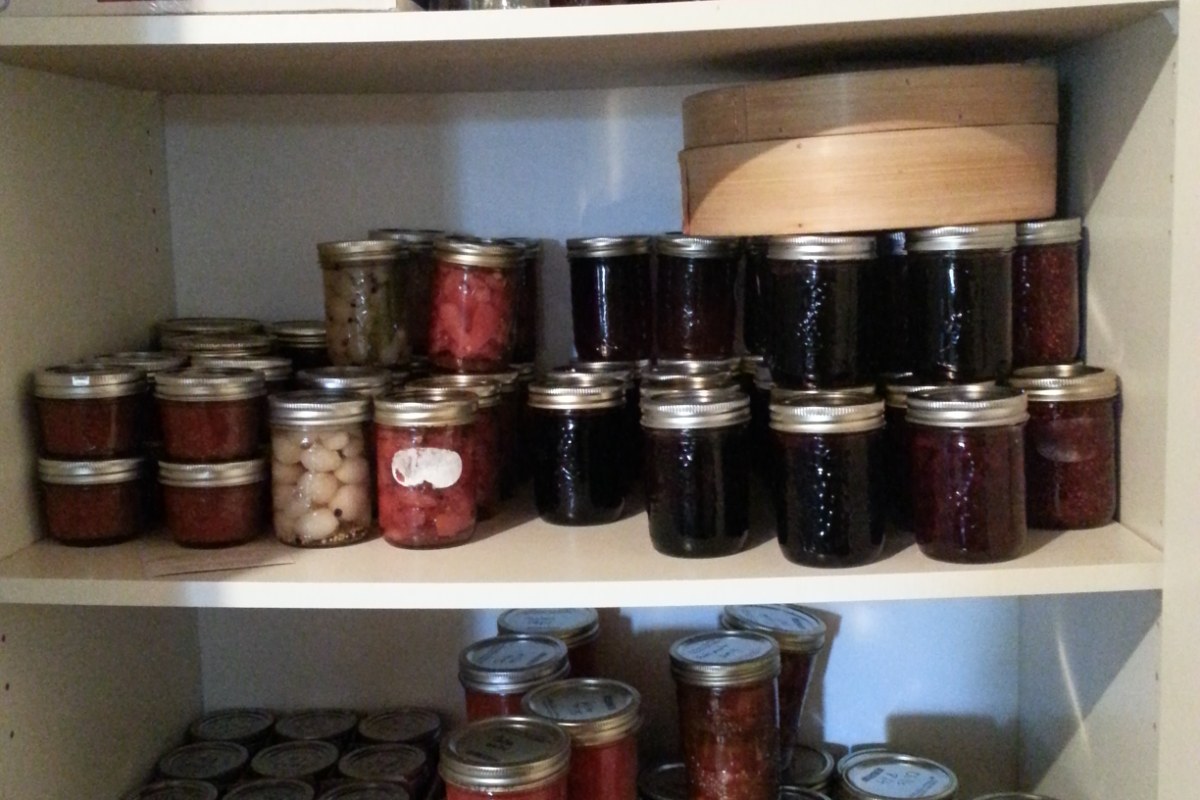 Home-canned salsa jars stored on a homestead pantry shelf