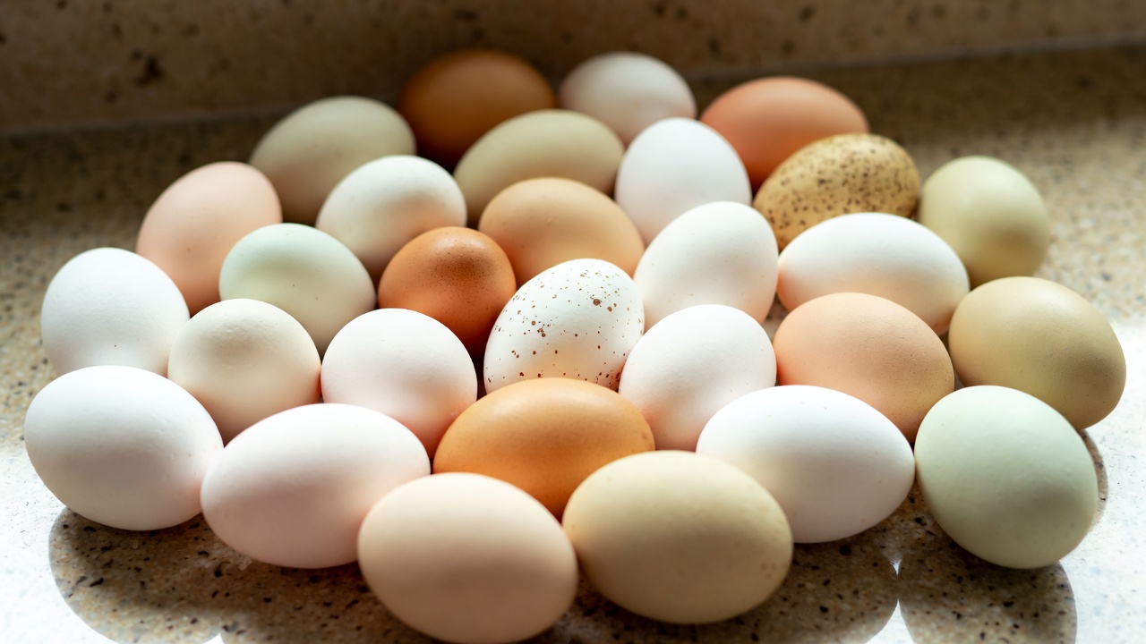 Eggs on the counter - Current Homesteading Eggs on the counter