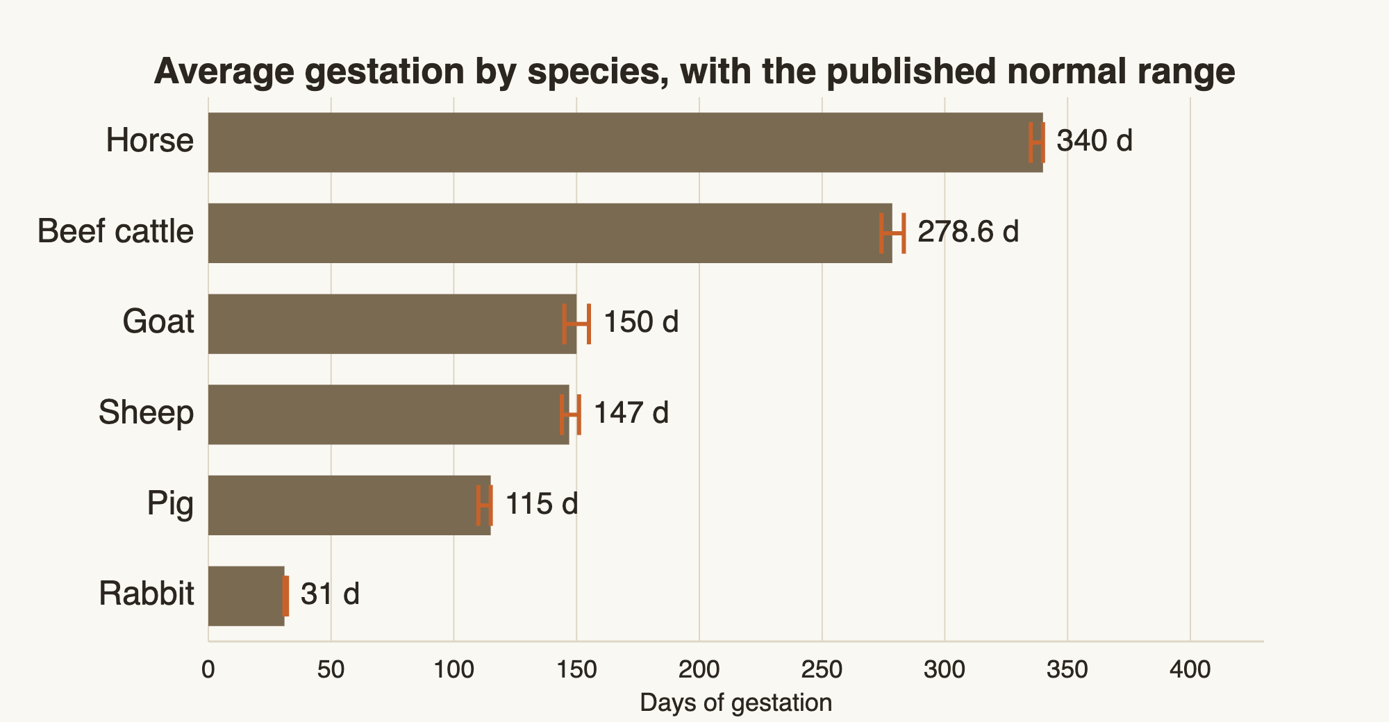 Horizontal bar chart of average gestation length in days for horse 340, beef cattle 278.6, goat 150, sheep 147, pig 115 and rabbit 31, each bar marked with the published normal range. - Current Homesteading Horizontal bar chart of average gestation length in days: horse 340, beef cattle 278.6, goat 150, sheep 147, pig 115, rabbit 31, with the published normal range marked on each bar.