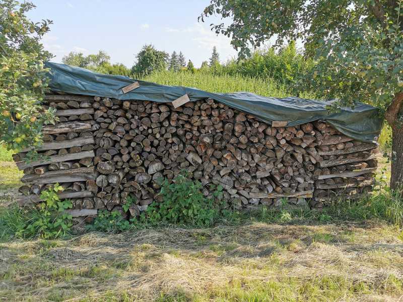 Single row of split firewood drying in open air
