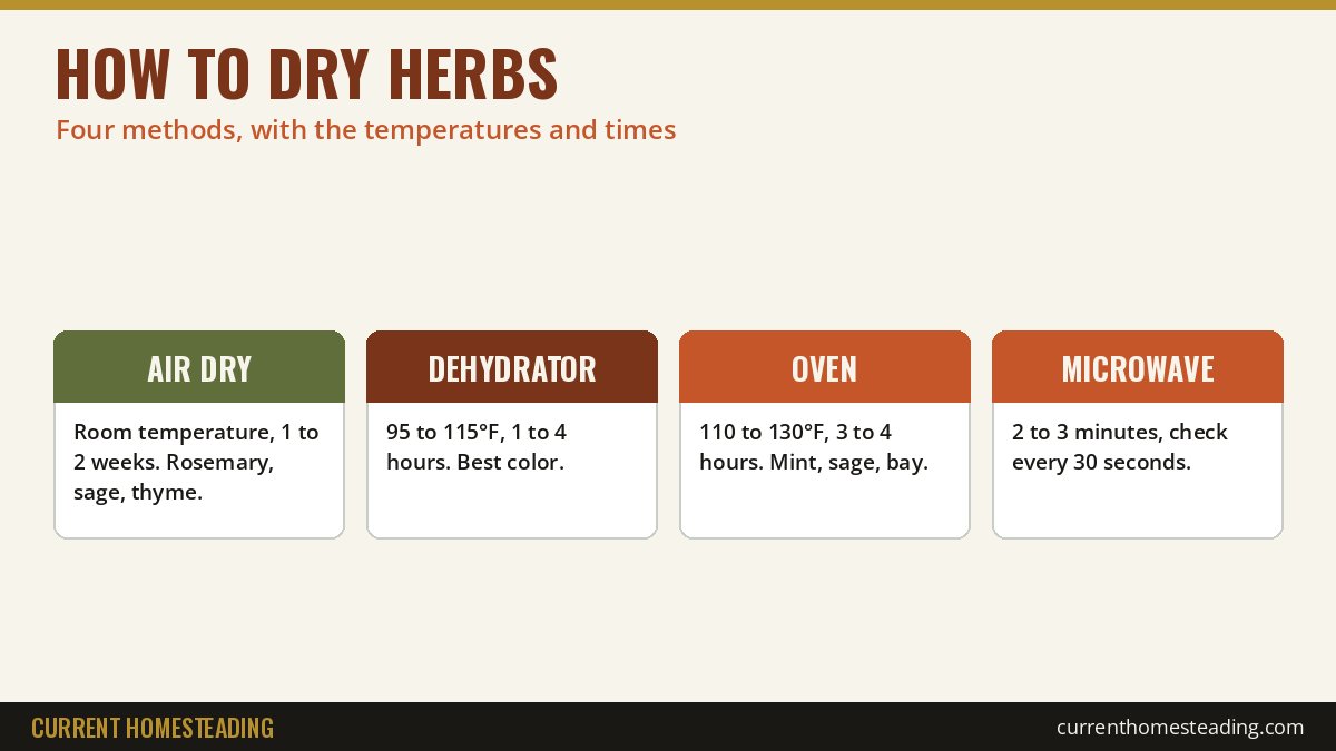 How to dry herbs: air drying, dehydrator, oven and microwave methods compared with temperatures and times